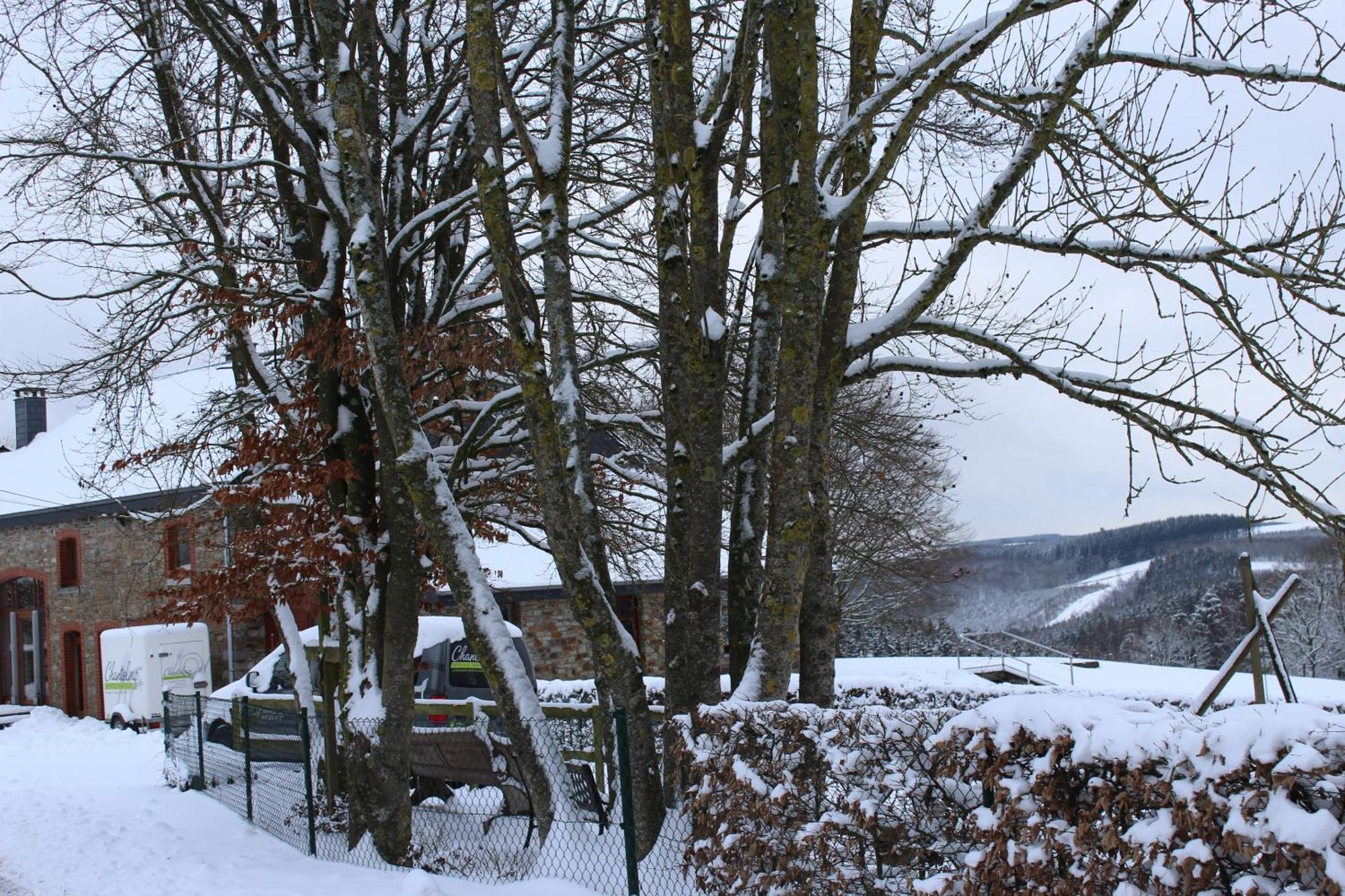 Chanteloup, Maison D'Hotes - Halleux Halleux  エクステリア 写真